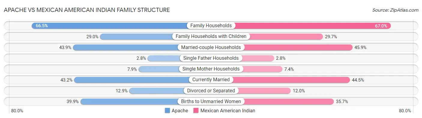 Apache vs Mexican American Indian Family Structure
