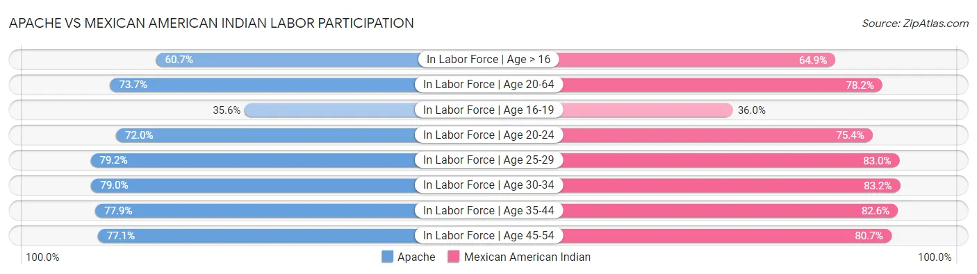 Apache vs Mexican American Indian Labor Participation