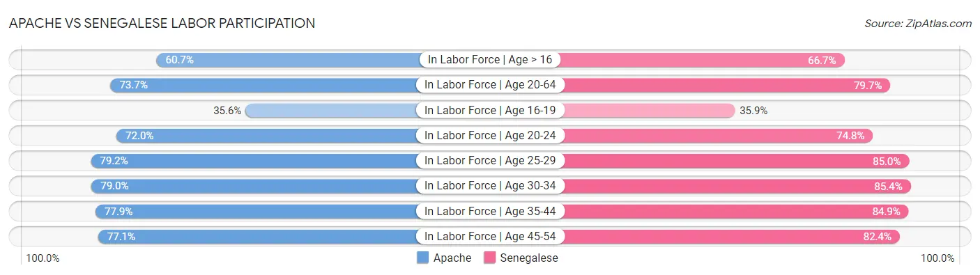 Apache vs Senegalese Labor Participation