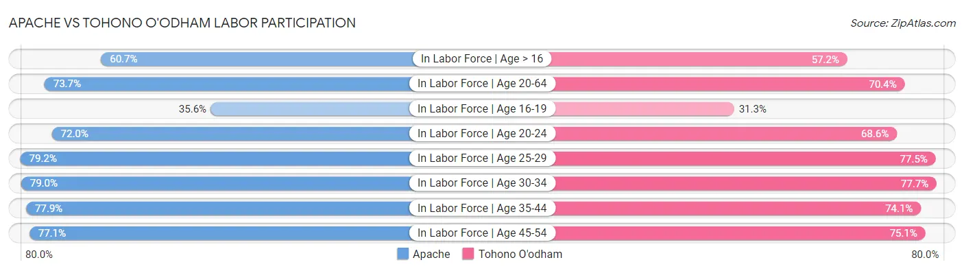 Apache vs Tohono O'odham Labor Participation