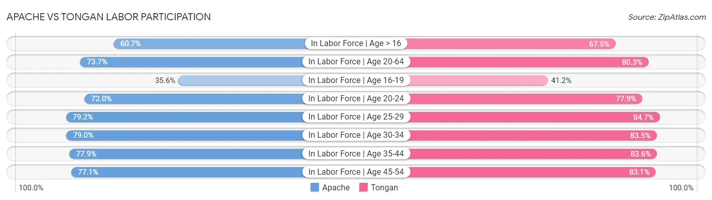 Apache vs Tongan Labor Participation