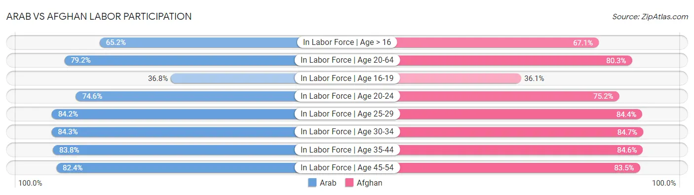 Arab vs Afghan Labor Participation