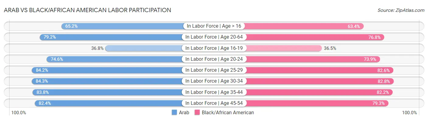 Arab vs Black/African American Labor Participation