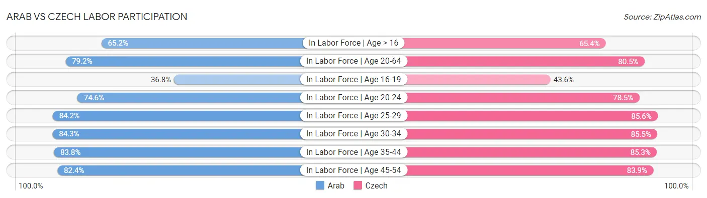 Arab vs Czech Labor Participation