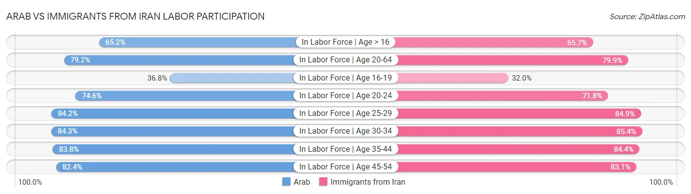 Arab vs Immigrants from Iran Labor Participation