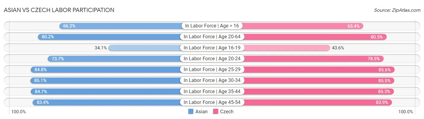 Asian vs Czech Labor Participation