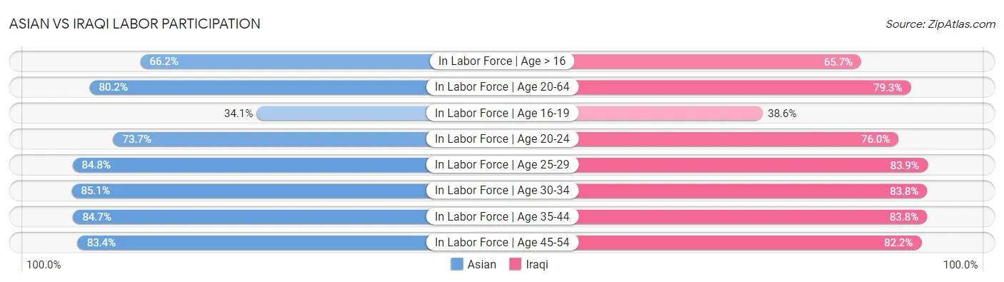 Asian vs Iraqi Labor Participation
