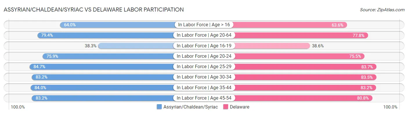 Assyrian/Chaldean/Syriac vs Delaware Labor Participation