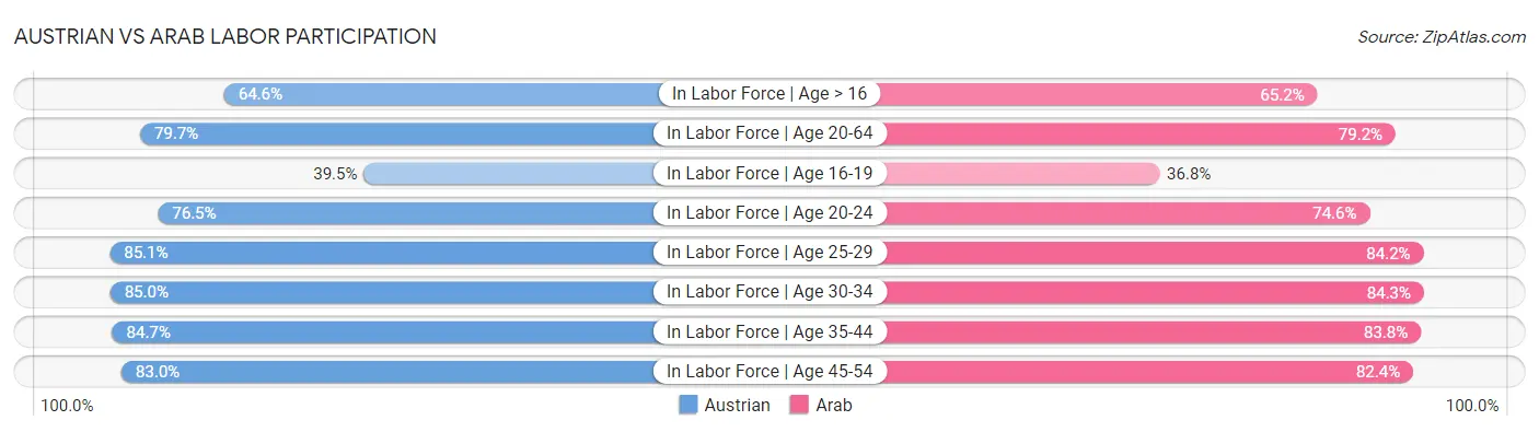 Austrian vs Arab Labor Participation