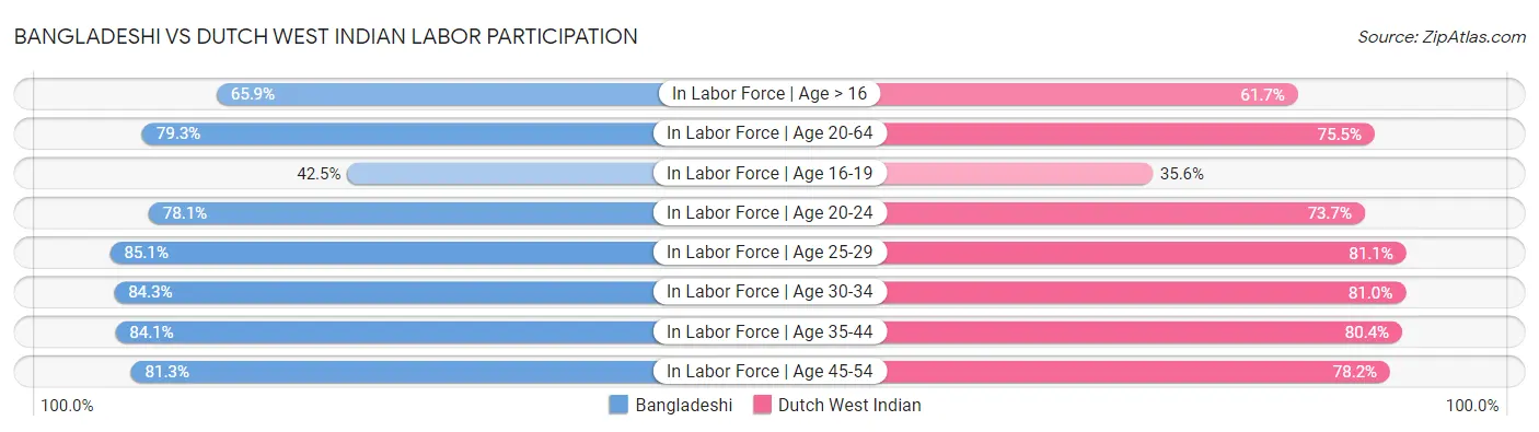Bangladeshi vs Dutch West Indian Labor Participation