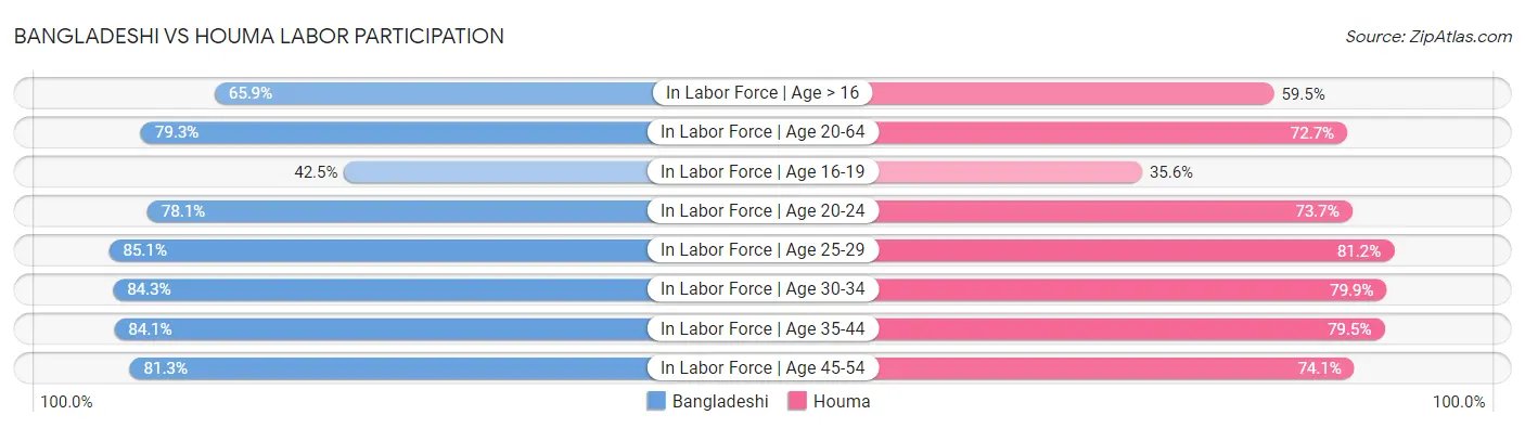 Bangladeshi vs Houma Labor Participation