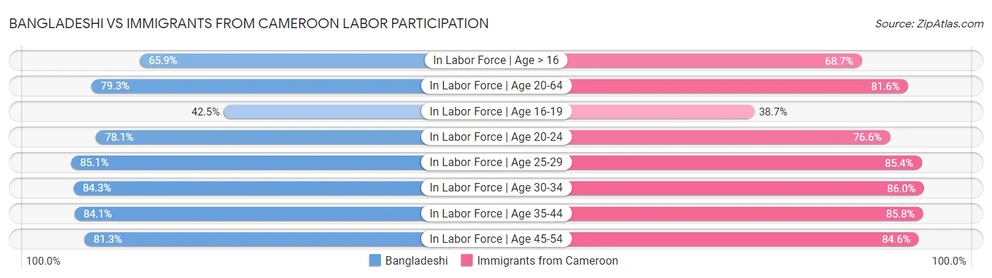 Bangladeshi vs Immigrants from Cameroon Labor Participation
