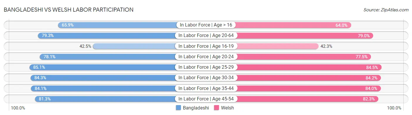 Bangladeshi vs Welsh Labor Participation