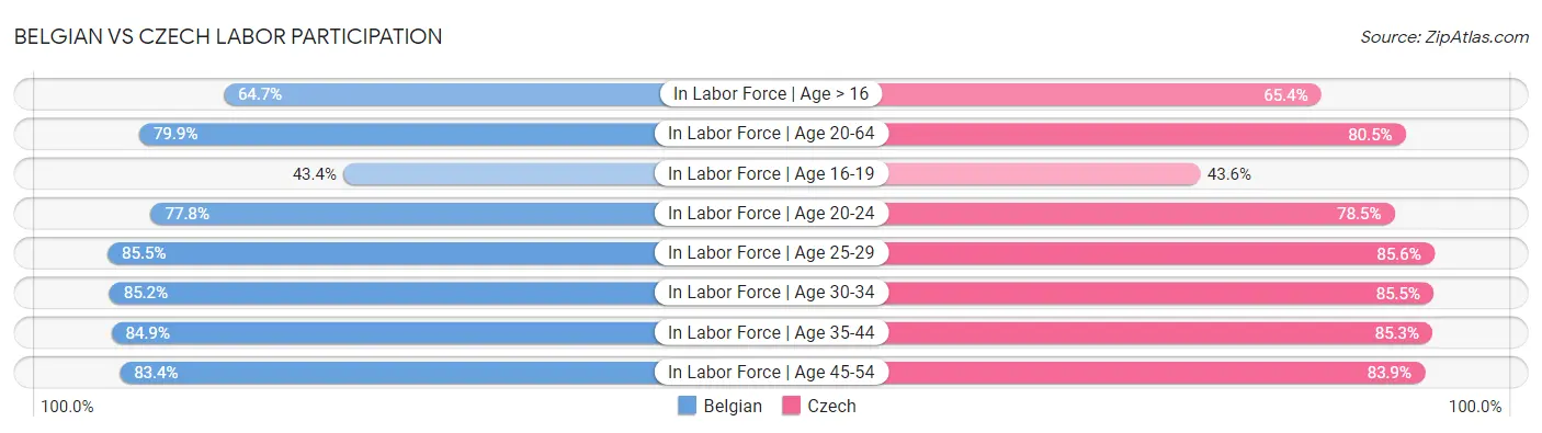 Belgian vs Czech Labor Participation