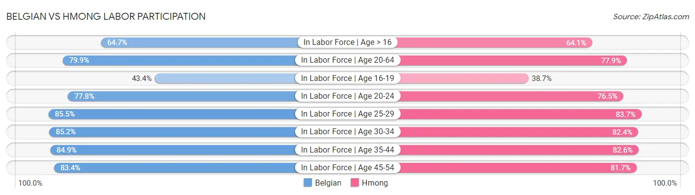 Belgian vs Hmong Labor Participation