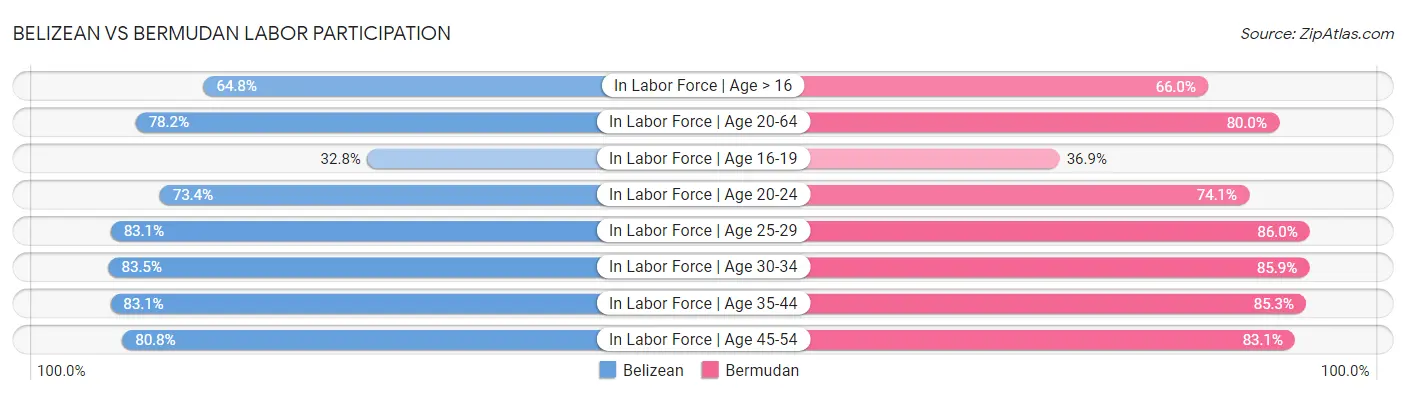 Belizean vs Bermudan Labor Participation
