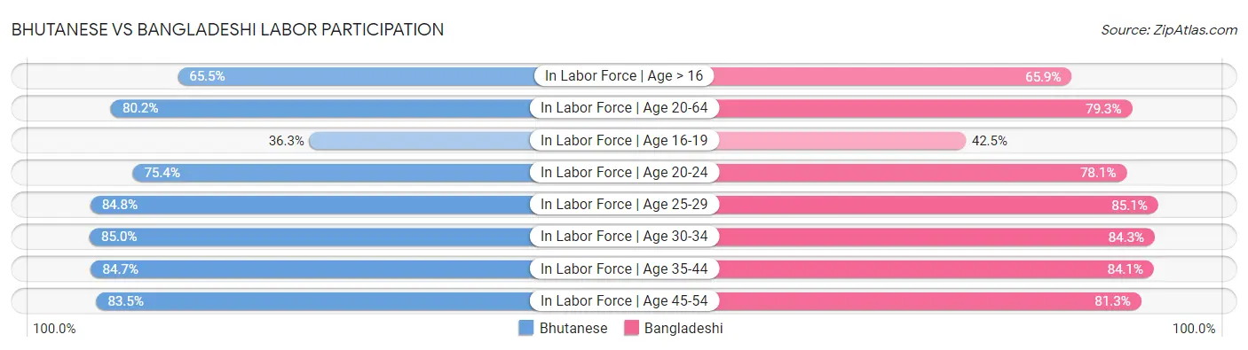 Bhutanese vs Bangladeshi Labor Participation