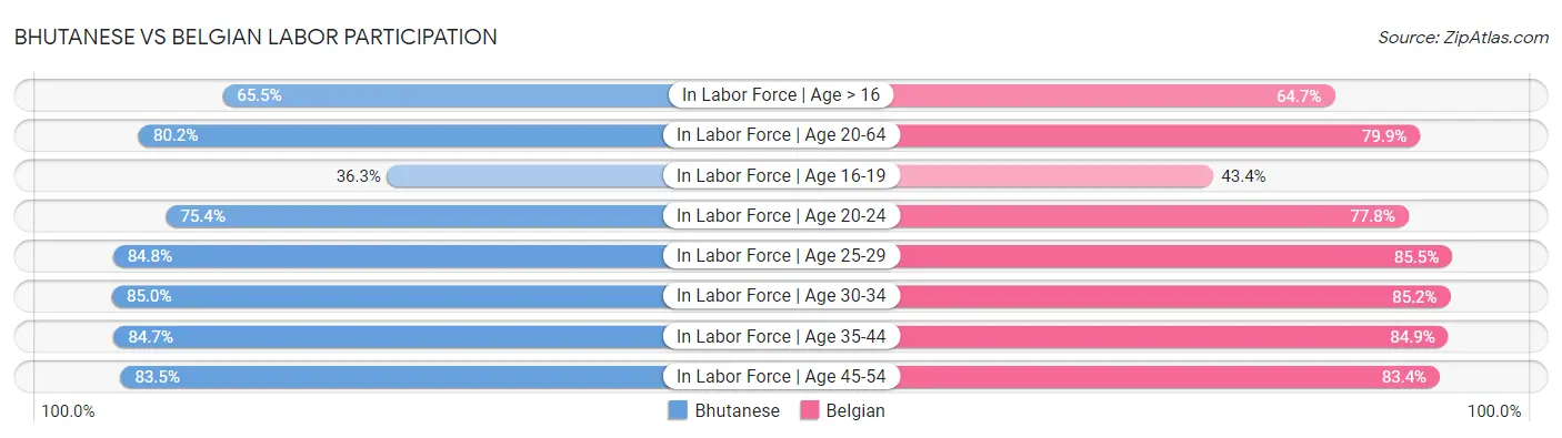 Bhutanese vs Belgian Labor Participation