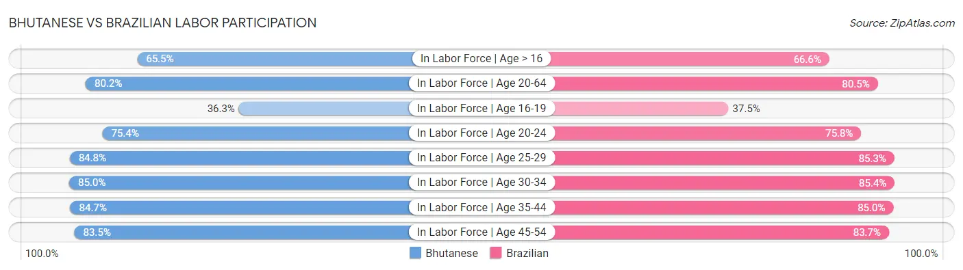 Bhutanese vs Brazilian Labor Participation