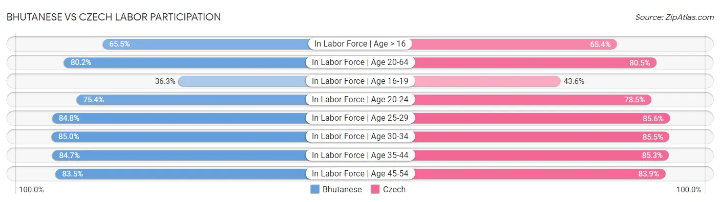 Bhutanese vs Czech Labor Participation