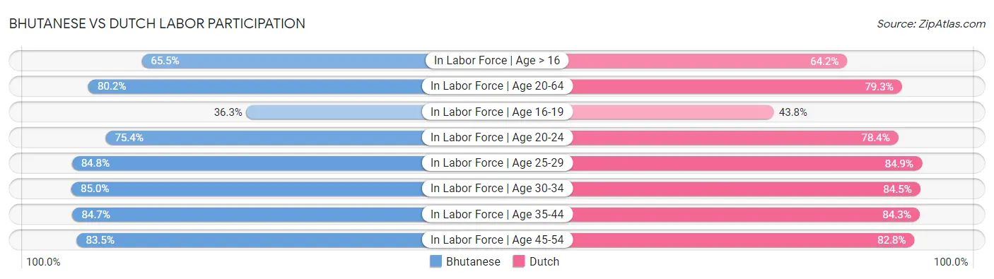 Bhutanese vs Dutch Labor Participation