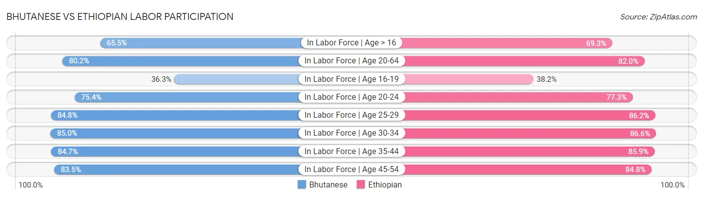 Bhutanese vs Ethiopian Labor Participation