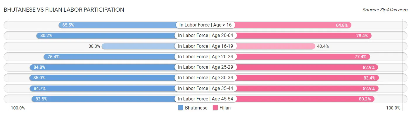 Bhutanese vs Fijian Labor Participation