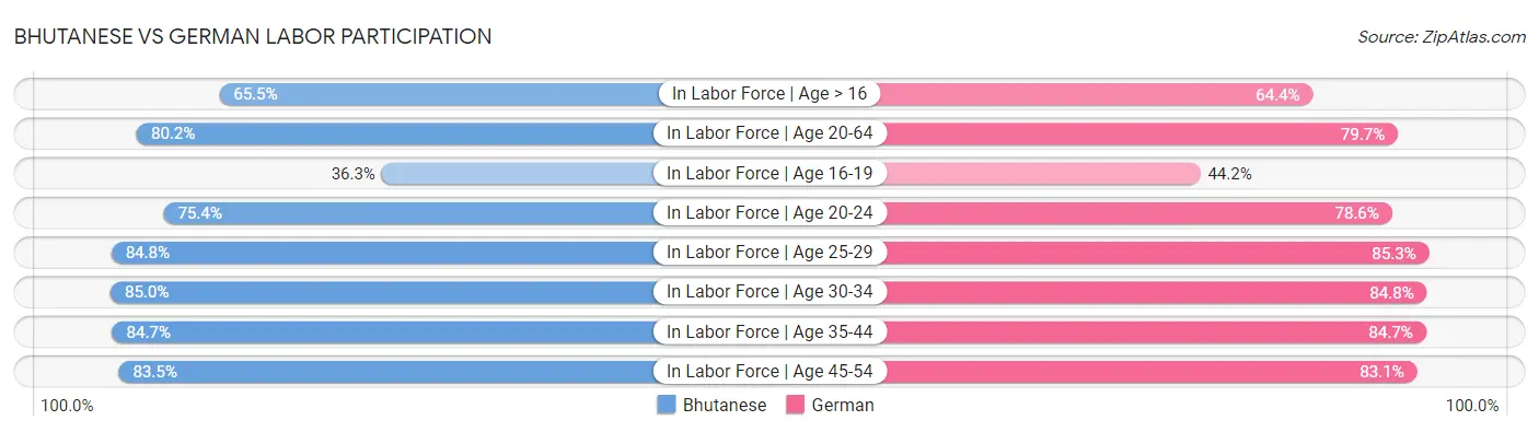 Bhutanese vs German Labor Participation