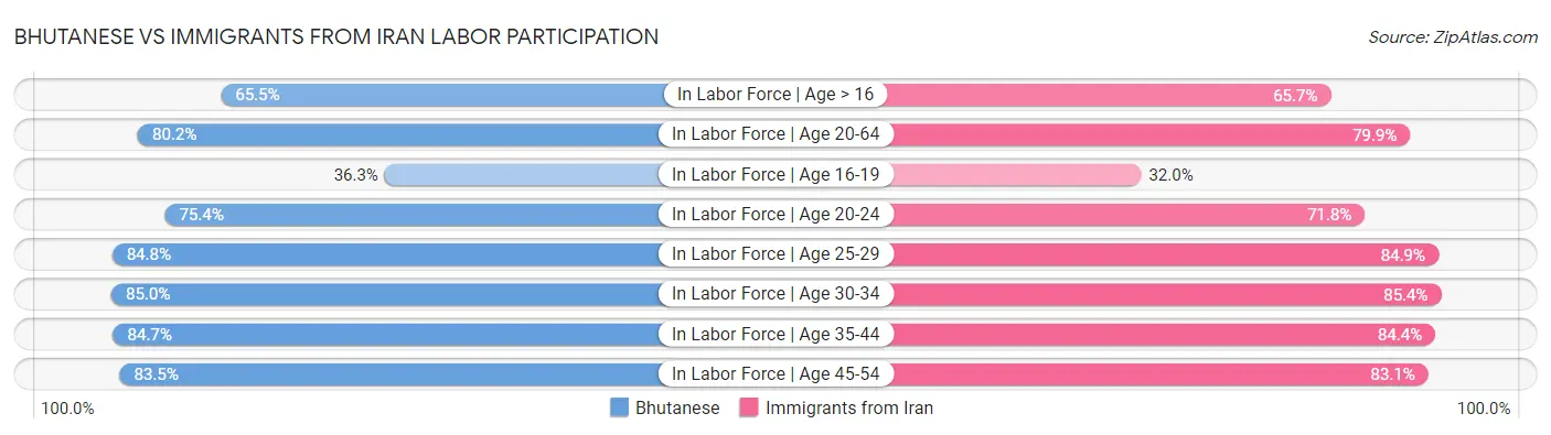 Bhutanese vs Immigrants from Iran Labor Participation