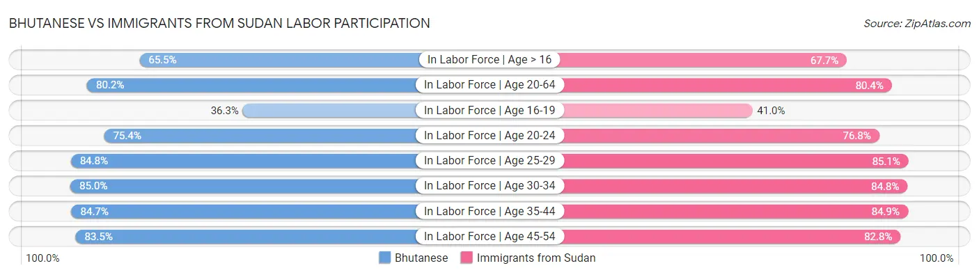 Bhutanese vs Immigrants from Sudan Labor Participation