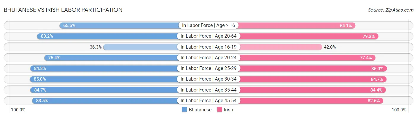 Bhutanese vs Irish Labor Participation
