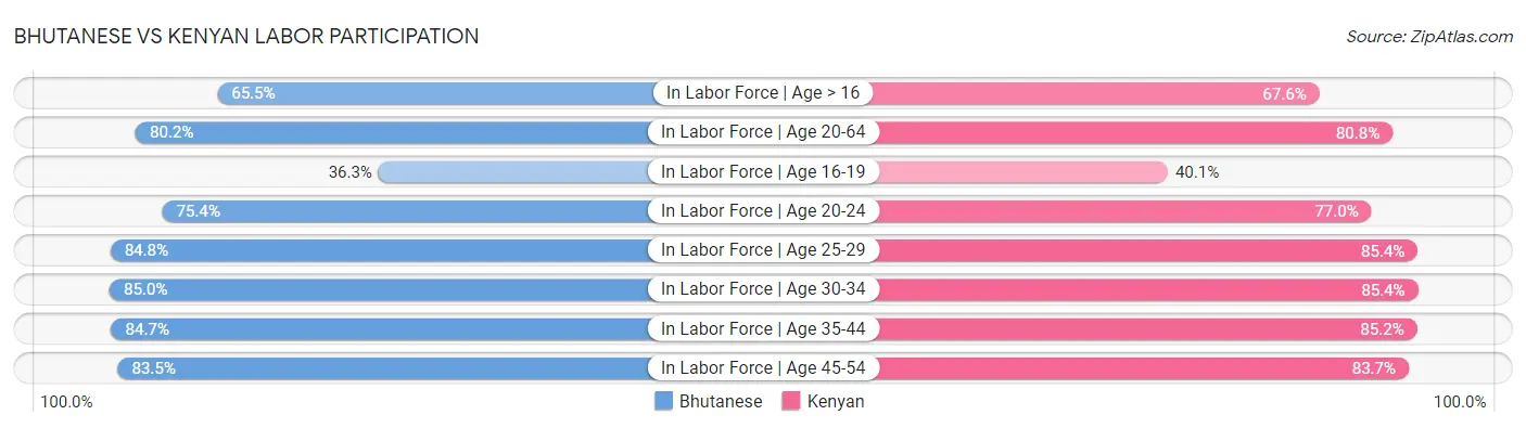 Bhutanese vs Kenyan Labor Participation