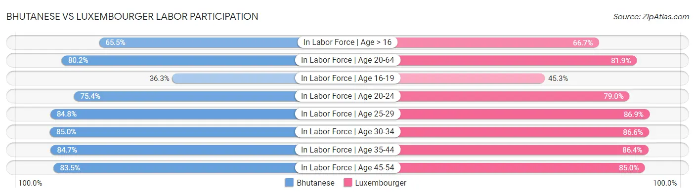Bhutanese vs Luxembourger Labor Participation