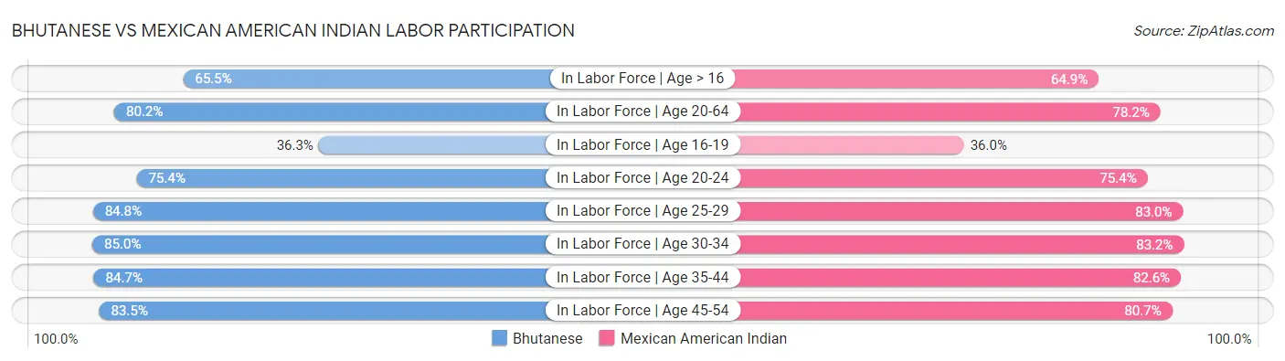 Bhutanese vs Mexican American Indian Labor Participation