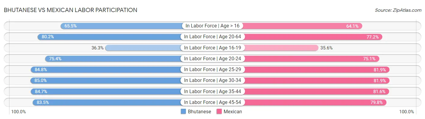 Bhutanese vs Mexican Labor Participation