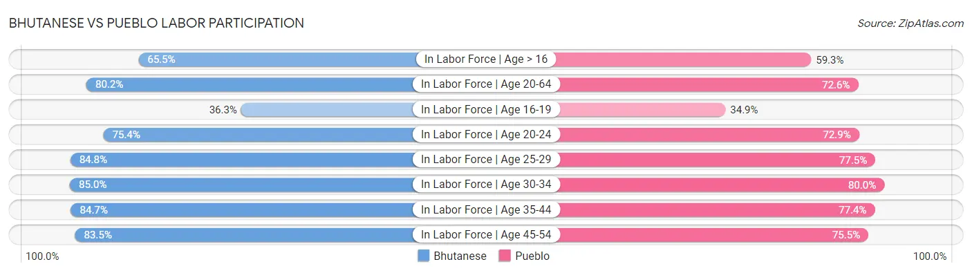 Bhutanese vs Pueblo Labor Participation