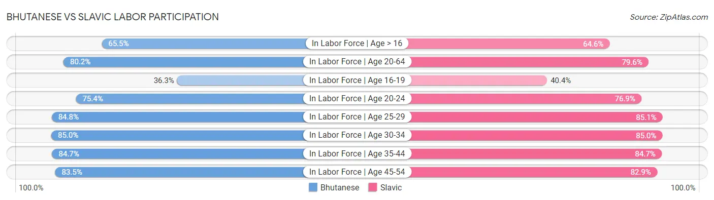 Bhutanese vs Slavic Labor Participation