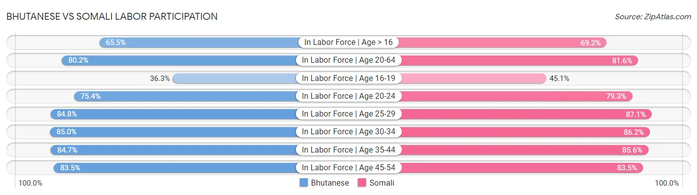Bhutanese vs Somali Labor Participation