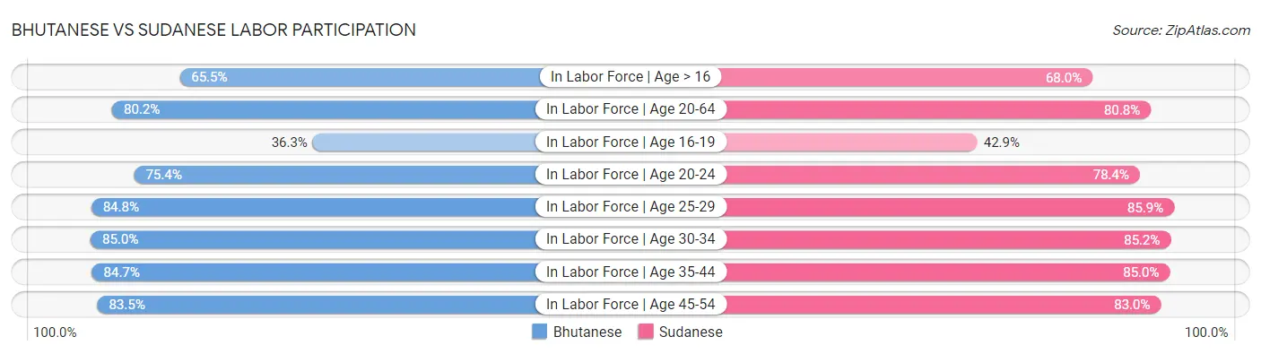 Bhutanese vs Sudanese Labor Participation