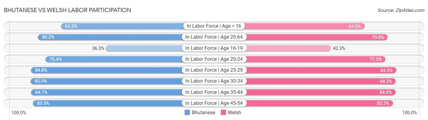 Bhutanese vs Welsh Labor Participation