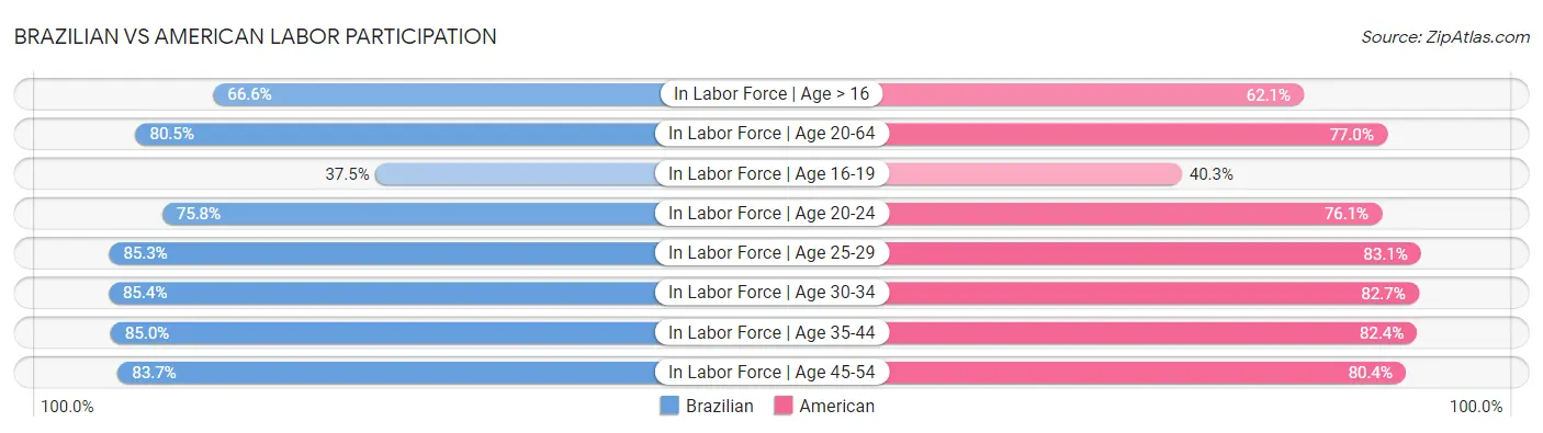 Brazilian vs American Labor Participation