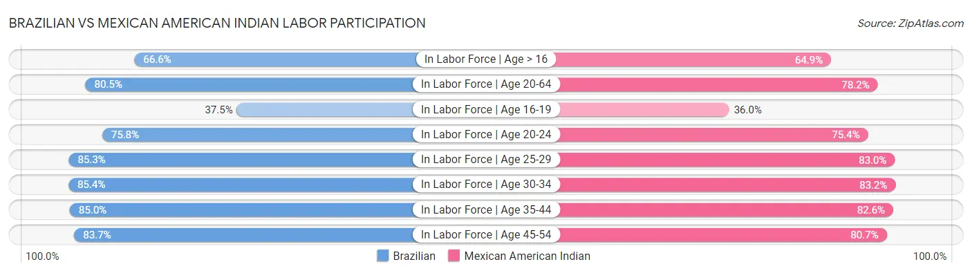 Brazilian vs Mexican American Indian Labor Participation