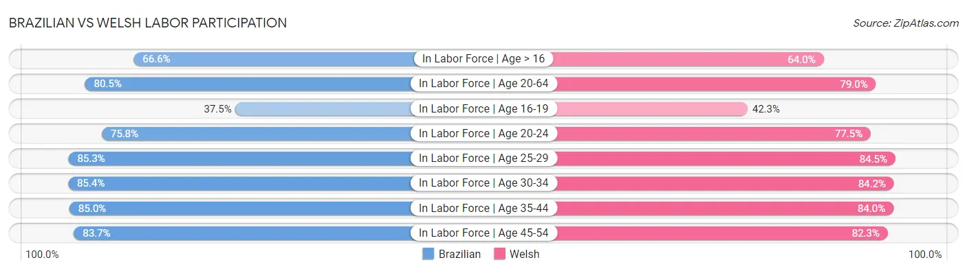 Brazilian vs Welsh Labor Participation