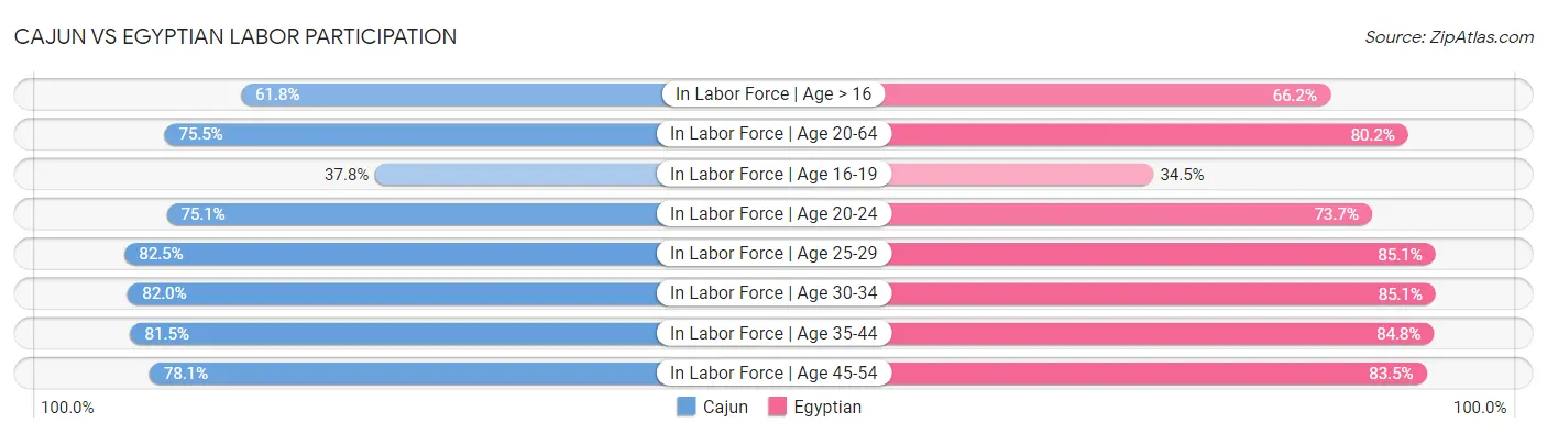 Cajun vs Egyptian Labor Participation