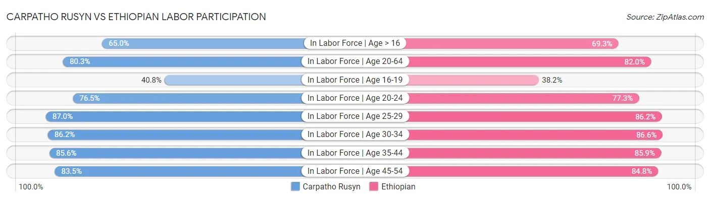 Carpatho Rusyn vs Ethiopian Labor Participation