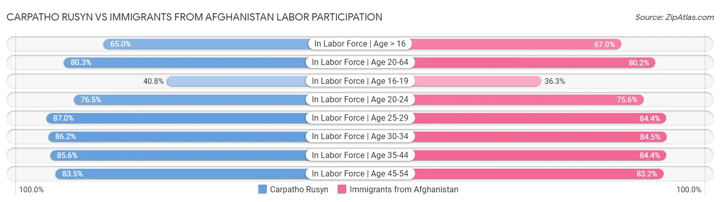 Carpatho Rusyn vs Immigrants from Afghanistan Labor Participation