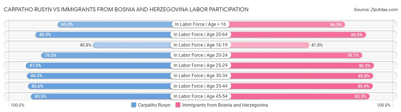 Carpatho Rusyn vs Immigrants from Bosnia and Herzegovina Labor Participation