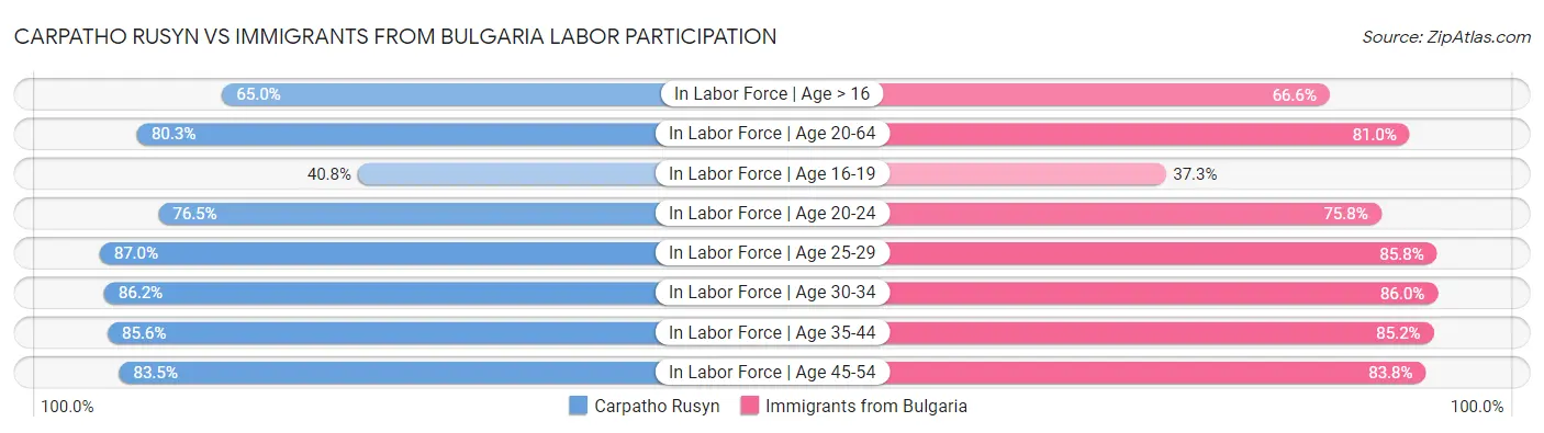 Carpatho Rusyn vs Immigrants from Bulgaria Labor Participation
