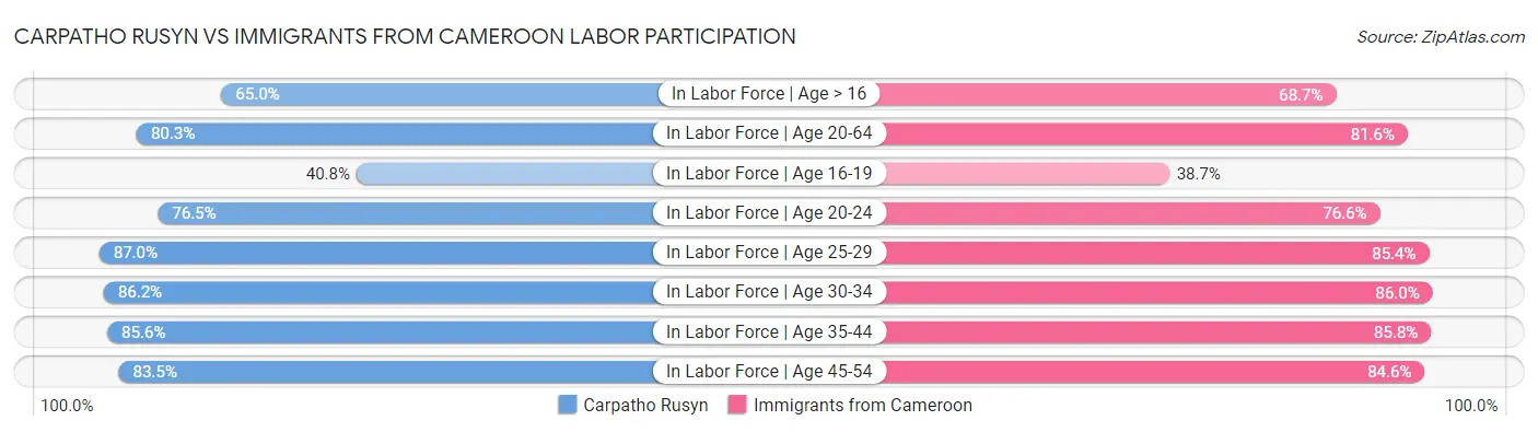 Carpatho Rusyn vs Immigrants from Cameroon Labor Participation
