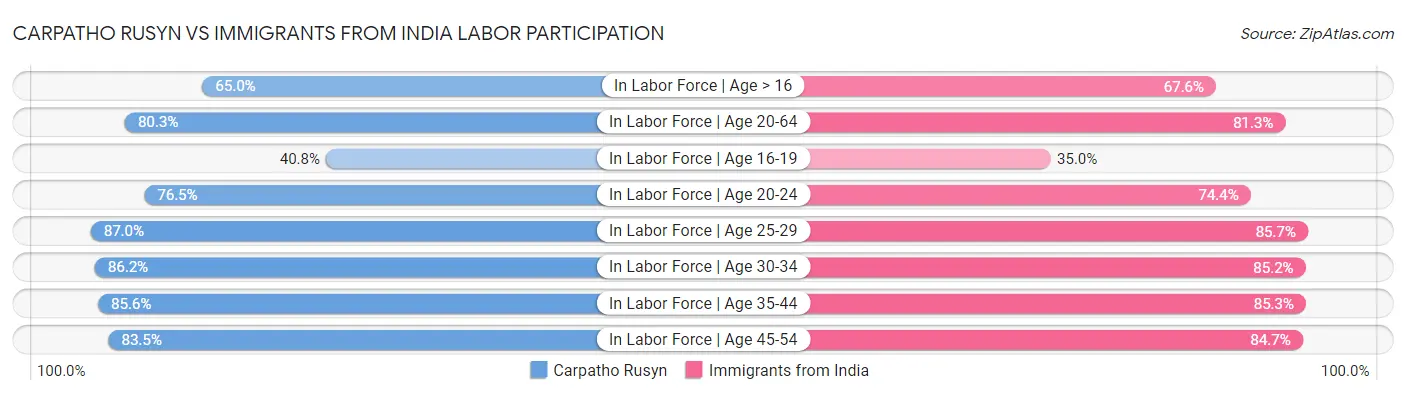 Carpatho Rusyn vs Immigrants from India Labor Participation